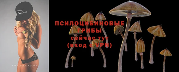 амфетамин Богородск