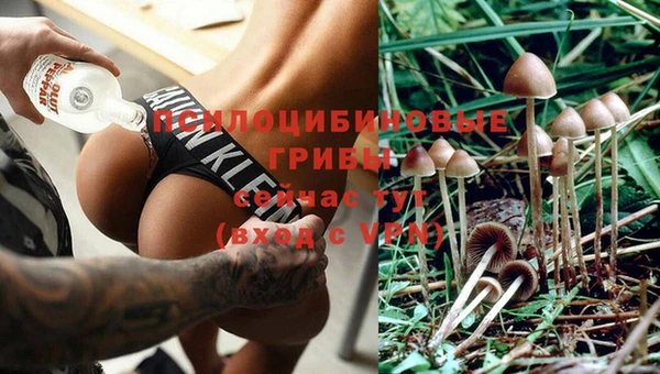 соль ск Беломорск