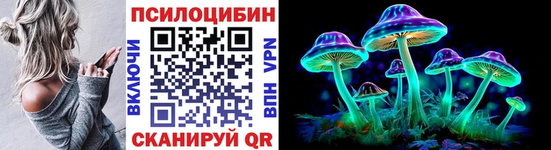 Галлюциногенные грибы мицелий  где купить   Гороховец 
